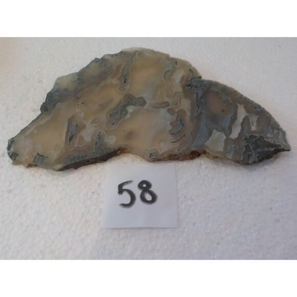Ochoco Oregon Tube Agate Rock Slab White Gray & Blue Translucent Silica Rich - Picture 2 of 7
